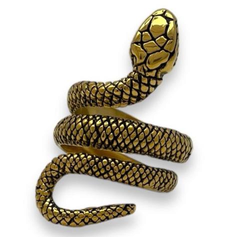 Serpent of Enlightenment Stainless Steel Ring
