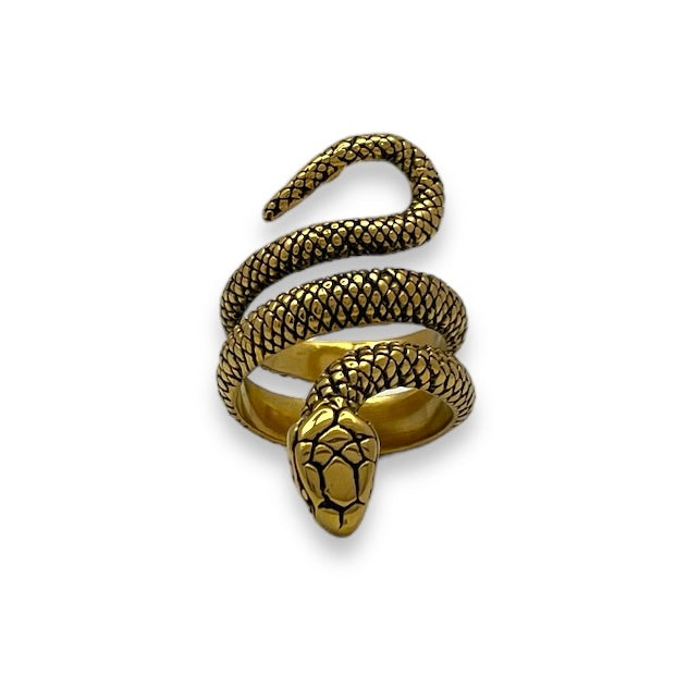 Serpent of Enlightenment Stainless Steel Ring