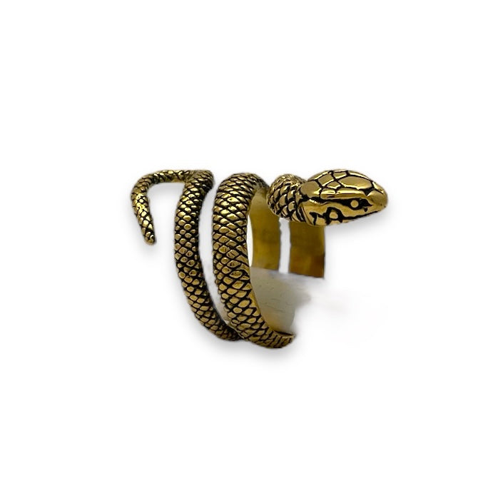 Serpent of Enlightenment Stainless Steel Ring