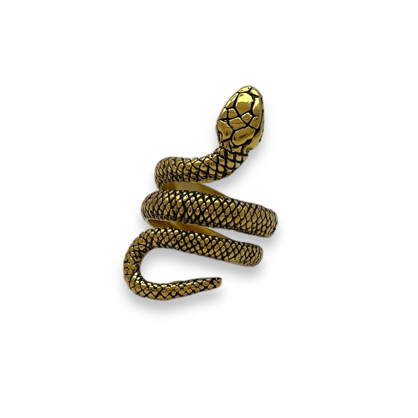 Serpent of Enlightenment Stainless Steel Ring