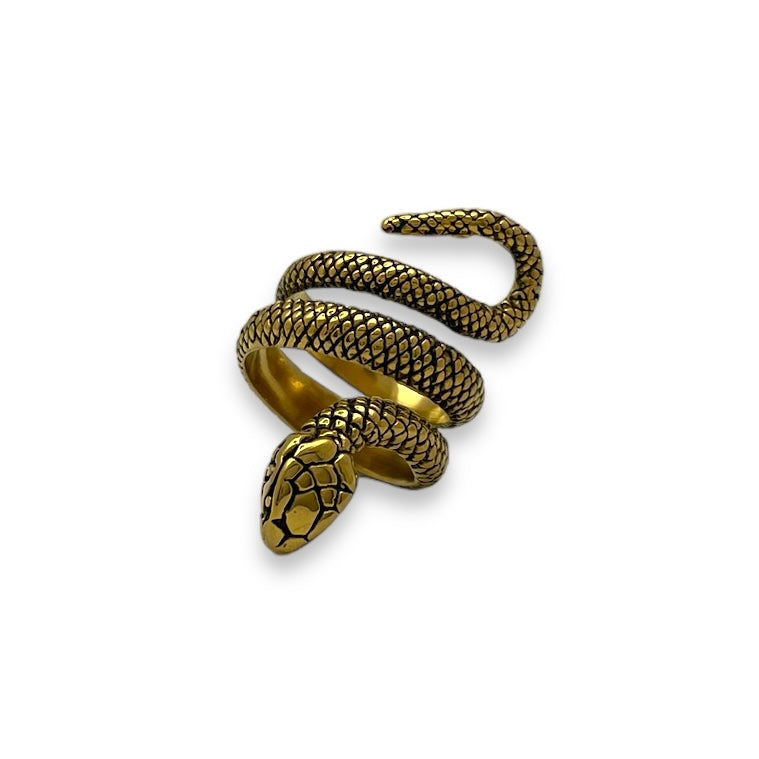 Serpent of Enlightenment Stainless Steel Ring